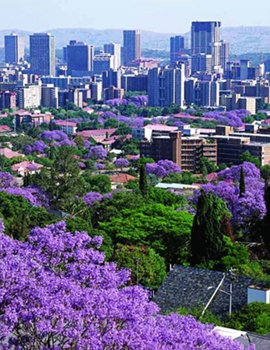 Pretoria – The Jacaranda City